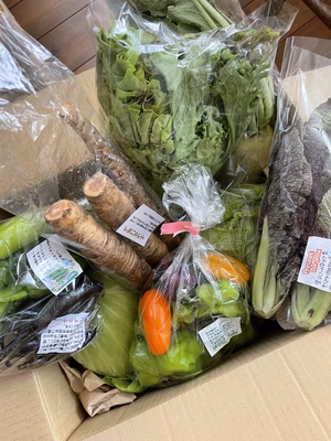 みんなの投稿の画像