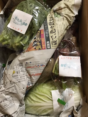 みんなの投稿の画像