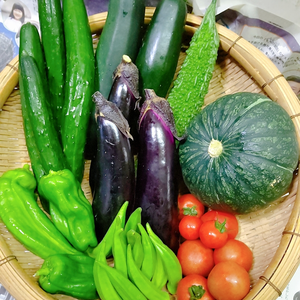 日常使用する野菜を中心とした季節の野菜セット
