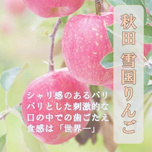 雪国リンゴ 糖度15度 寒〆りんご パリパリフレッシュりんご 家庭 贈答ヤマト便