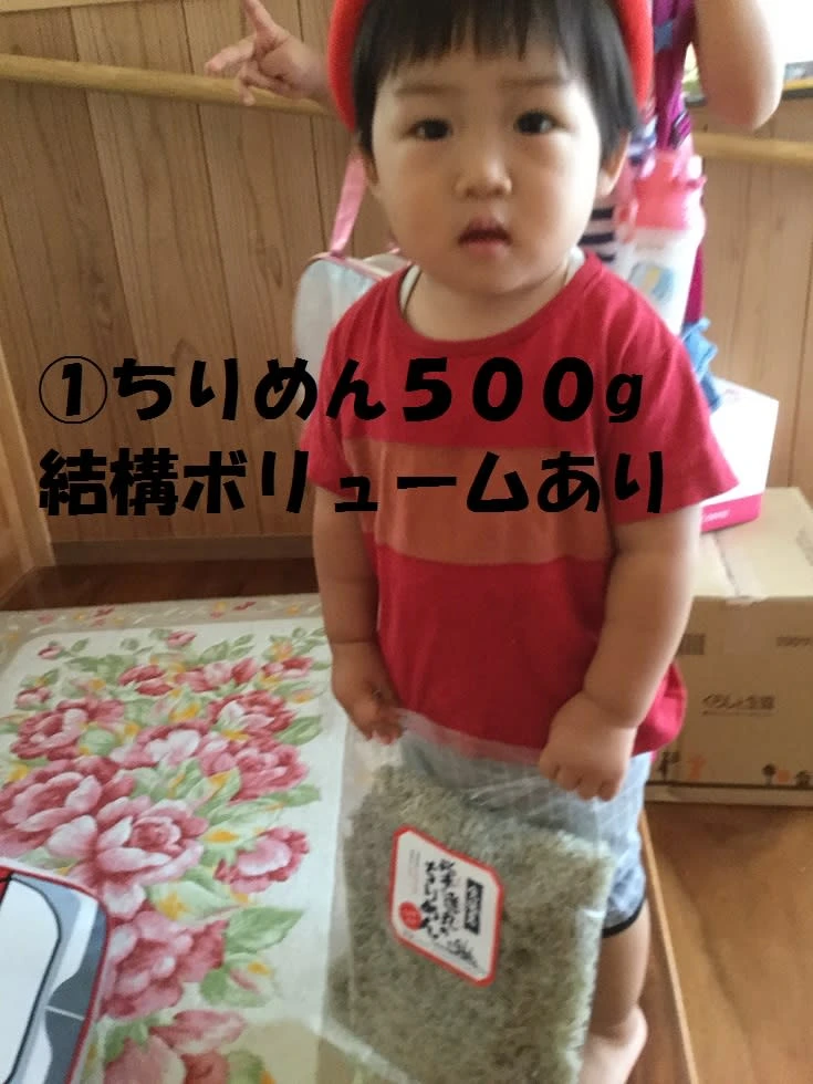 どっかん！ちりめん、かえり、釜揚げ、ひじき80サイズギリギリ詰込みぽっきり価格！