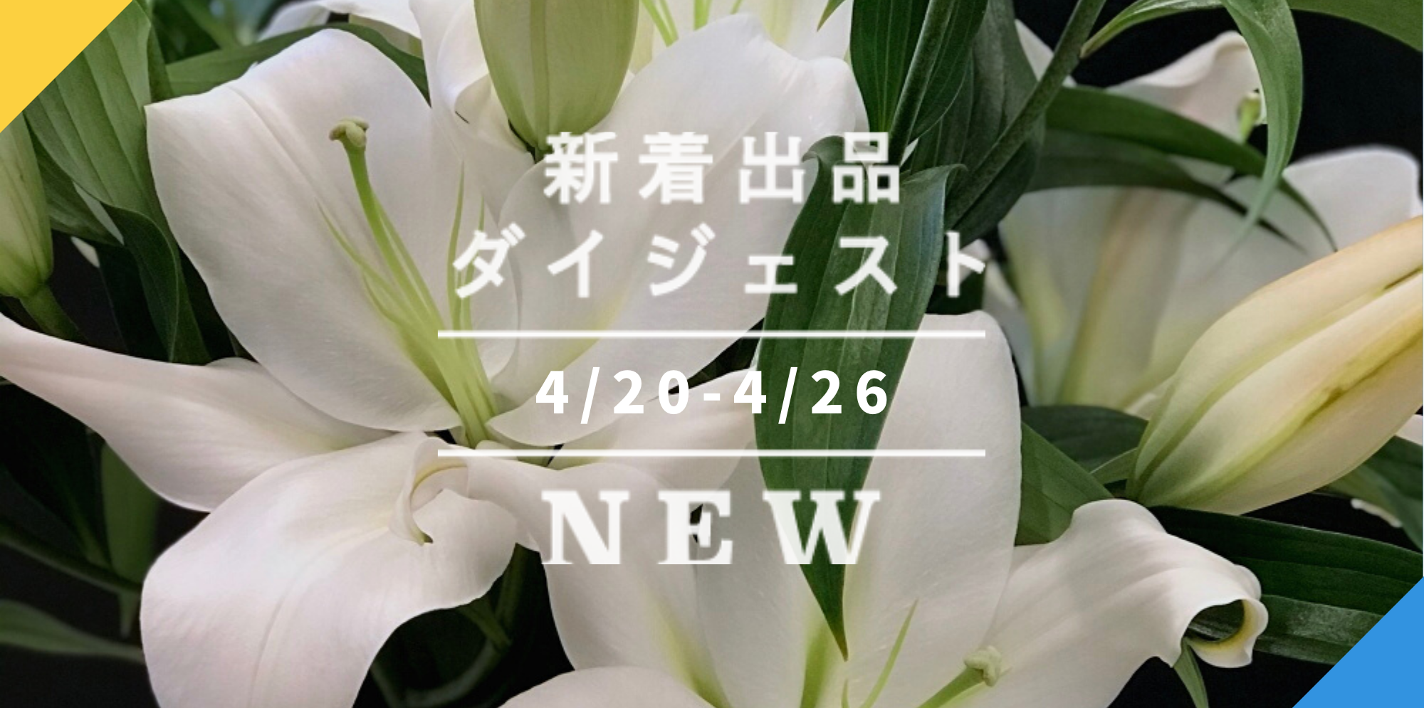 バックナンバー Gwの3選 令和4年の新茶 母の日の白ユリ qにしたい鹿児島黒豚セット 今週のおすすめ新着出品 22年4月29日