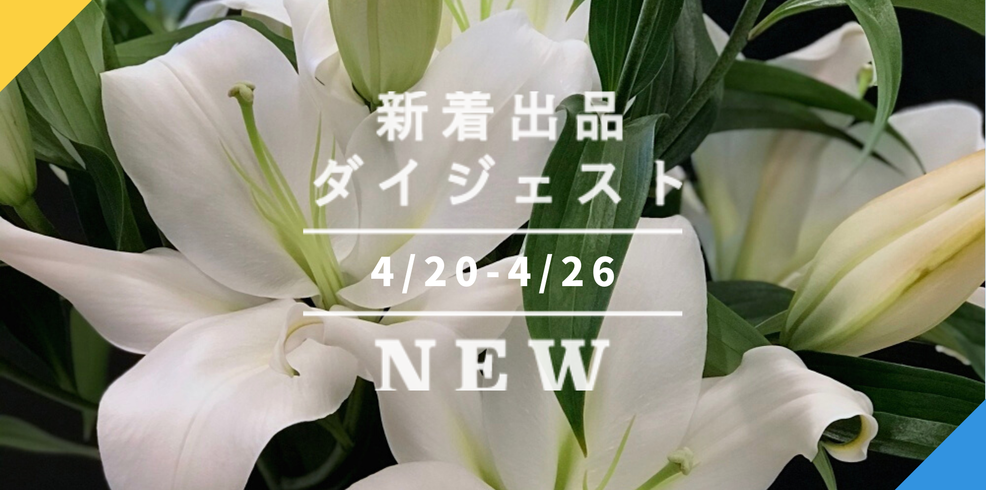 バックナンバー]GWの3選→令和4年の新茶????母の日の白ユリ????BBQにしたい鹿児島黒豚セット????｜今週のおすすめ新着出品[2022年4月29日