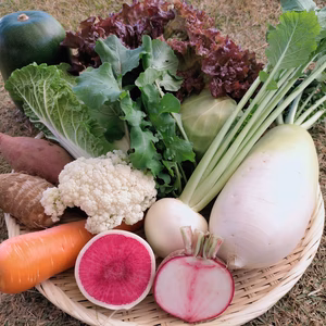 【6月6日(金)発送予定】なかむら農園のおまかせ野菜BOX