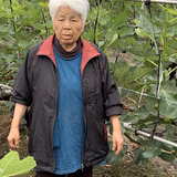 鈴木 豊 | 鈴木　農園