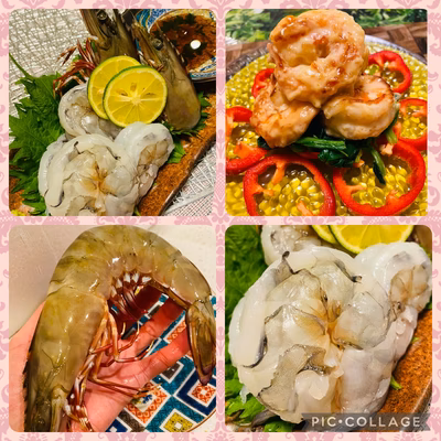 みんなの投稿の画像