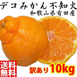 デコポンと同種 デコみかん 不知火 しらぬい 7kg和歌山有田みかん オレンジ