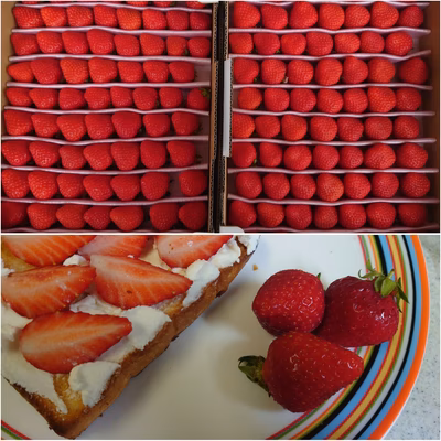 みんなの投稿の画像