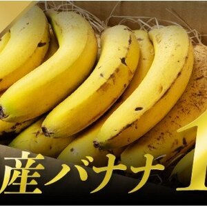 皮まで食べても安心宮崎産バナナ「お得パック」1kg