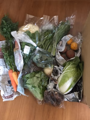 みんなの投稿の画像