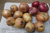 減農薬　新タマネギ  赤白　合計2ｋｇ程度　お徳用　甘み　旨みたっぷり