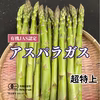 オーガニックアスパラ超特上（2L以上）１キロ　4月上旬から出荷スタート予約販売