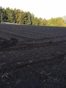 14563390_918976994874240_3096601487562795262_n