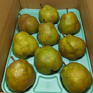 ラ・フランス9玉3Lサイズ