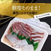 【数量限定特別価格】高級 大和ブリ お造り ８人前【大和海商】