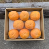 柿の王様！富有柿(奈良県産)