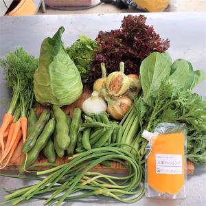 とにかく春野菜が食べたい！野菜セット（人参ドレ付）