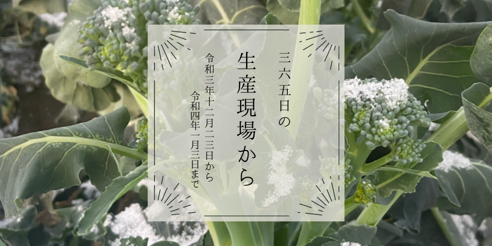 読みやすくプチリニューアルしました☃12月23日〜1月3日の生産現場から