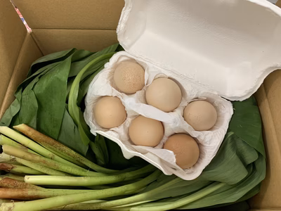 みんなの投稿の画像