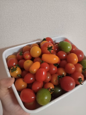 みんなの投稿の画像