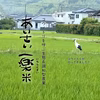 《特別栽培米・白米》あいさい一楽米　令和6年産徳島県産コシヒカリ