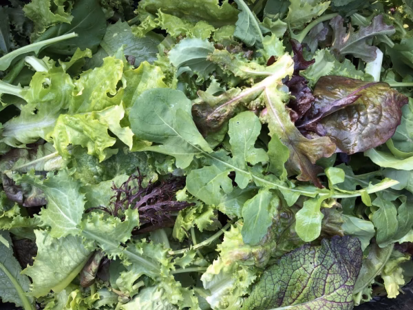 天空のサラダ「気まぐれみっくす」