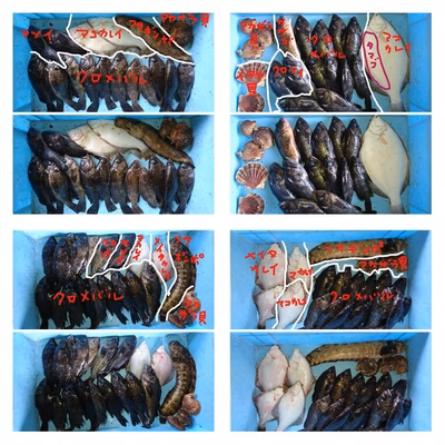 みんなの投稿の画像