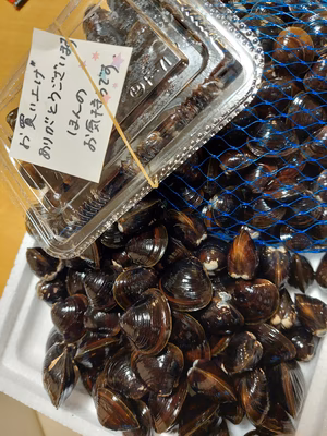 みんなの投稿の画像