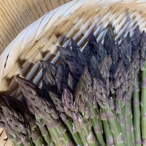 ☆初出荷☆最上アスパラガス☆ミックスサイズ