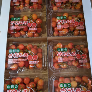 さくらんぼ紅秀峰割り引き商品