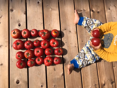 みんなの投稿の画像