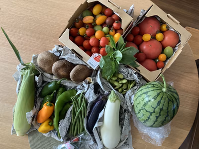 みんなの投稿の画像