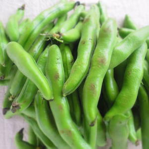 【そら豆2kg】農薬化学肥料不使用 冷蔵便