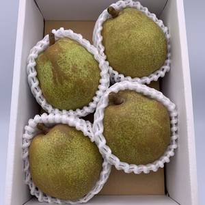 果物の女王　贈答品ラ・フランス　約1キロ4〜5玉入り　2L〜3Lサイズ