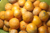 訳あり【農薬不使用】無農薬有田みかん『関西・北陸・東海・中国・四国』地域向け