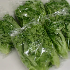 【毎日旬な野菜をお届け！】グリーンリーフ200ｇ　15袋セット