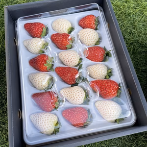 紅白いちご　18粒入りから