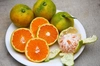 愛媛県‼　極早生ミカン！！　8kg　　オマケの柑橘ジュース1本　付きセット