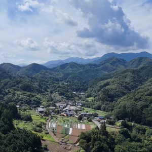 春夏秋冬、山から届く、シェフの育てた野菜セット【農薬、化学肥料、除草剤不使用】
