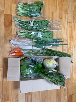 みんなの投稿の画像