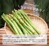 ＼ちょっと訳ありB品／北海道日高産 朝採りアスパラ (サイズ無選別1kg)