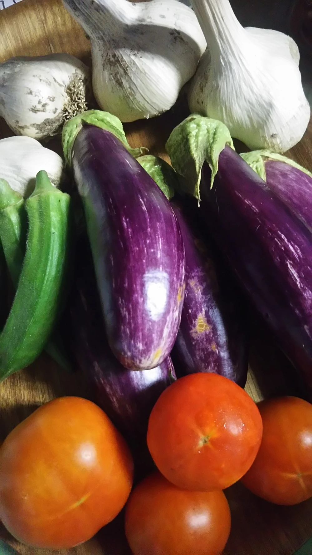 自分で作れる野菜キットつき✨家庭菜園講座in松戸✨✨２名様～