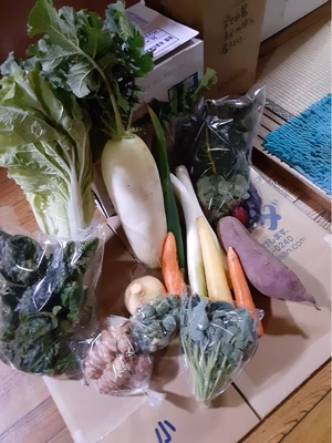 みんなの投稿の画像