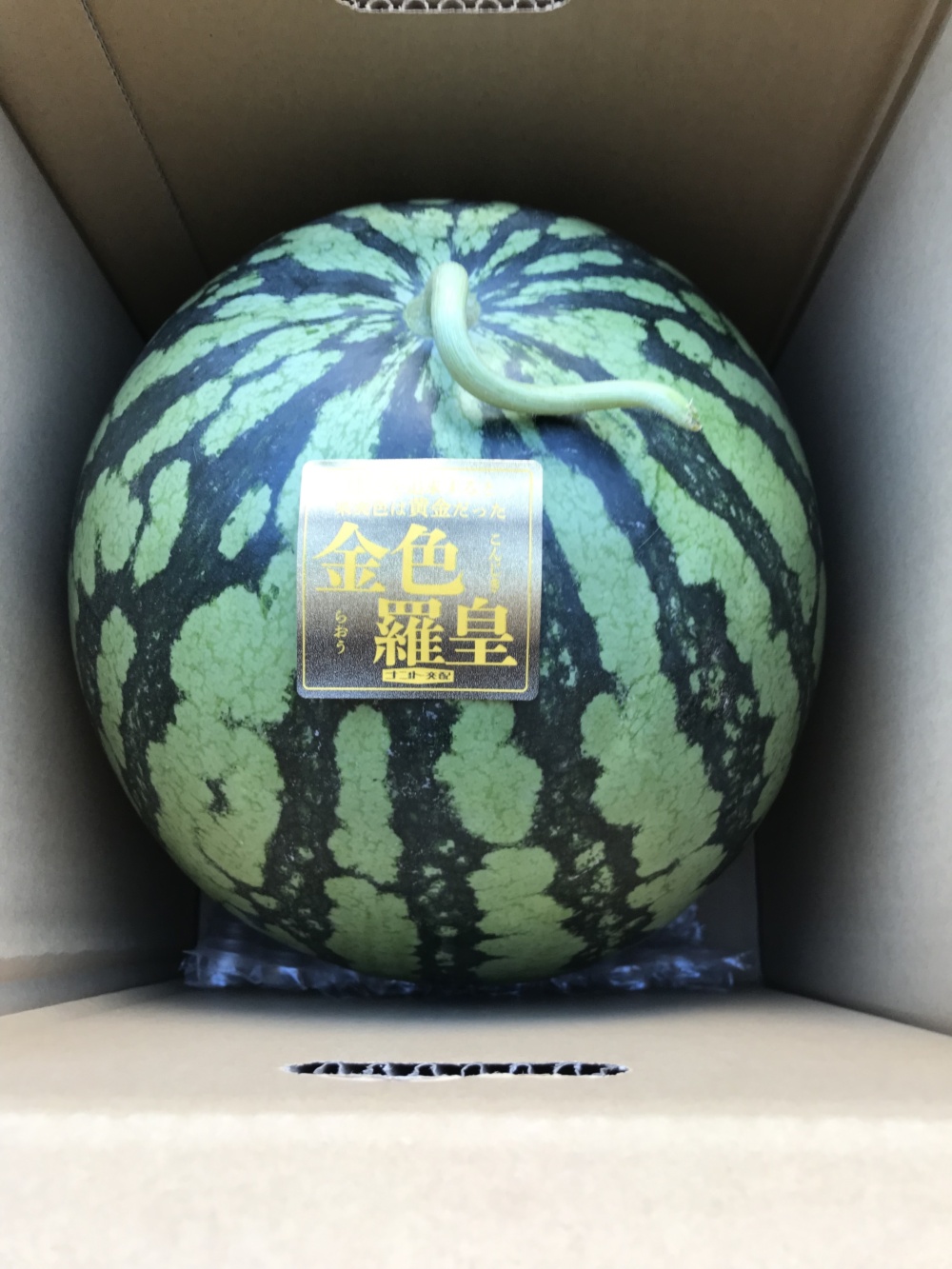 千葉県富里市産 金色羅王スイカ Mサイズ2玉 - 果物