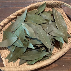 ローリエ（月桂樹）