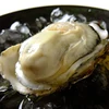 三重県桃取産　殻付き牡蠣　(生食用)　桃こまち大きいＬサイズ