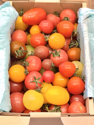 みんなの投稿の画像