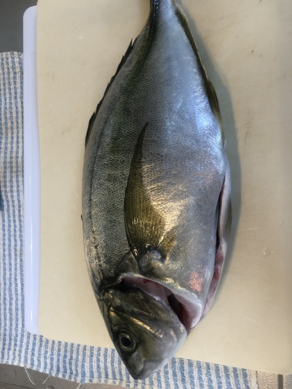 旨いはもちろんモチモチなのにとろける食感 養殖魚の新星スマ 農家漁師から産地直送の通販 ポケットマルシェ