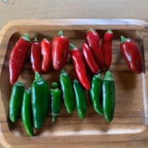 aesun様専用　赤ハラペーニョ500グラム青ハラペーニョ500グラム