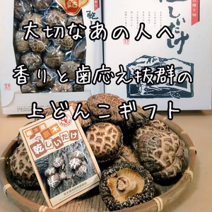 【お贈り物に！】原木干し椎茸　上どんこ 
